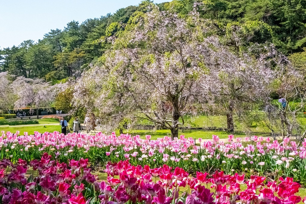 浜名湖花博2024（33）