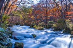 秋の奥入瀬渓流（９）
