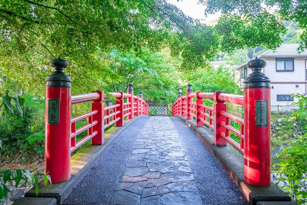 新緑の修善寺（１）