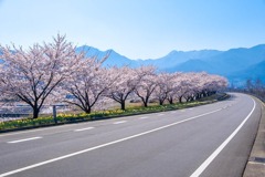 志賀高原の春（１）