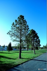 グランドサークル６