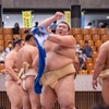 大相撲静岡場所（８）