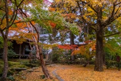 12月の高知（６）