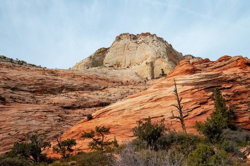 ザイオン国立公園（６）