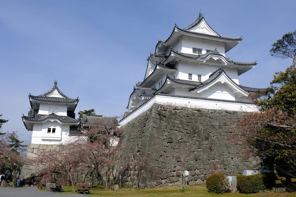 伊賀上野城１