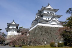 伊賀上野城１