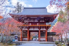 12月の奈良（43）