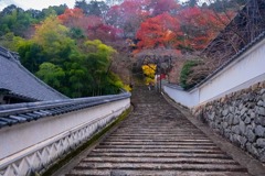 秋の奈良（50）