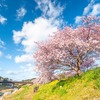 春の伊豆旅（18）