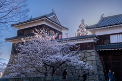 上田の春（２）