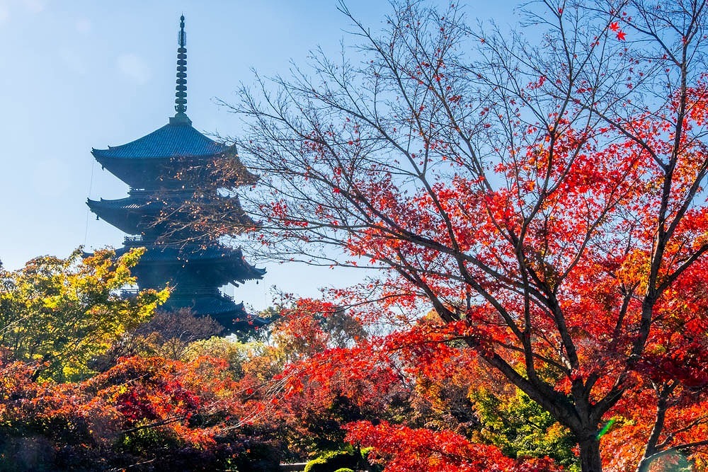 秋の京都（５）