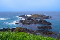 礼文島（６）