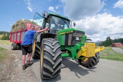 アルぺ・デ・シウジ（19）