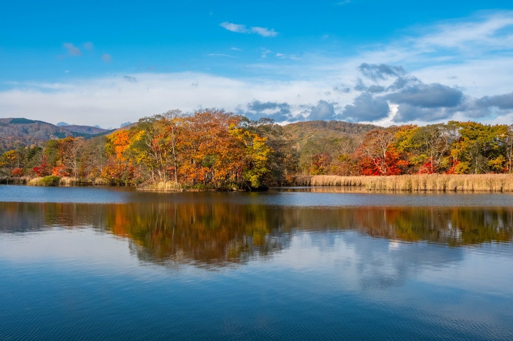 朝の大沼国定公園（12）