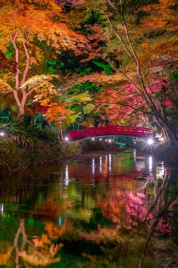 小國神社の夜景（２）