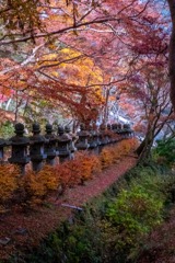 12月の奈良（57）