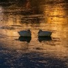 夜の水原華城（９）