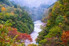 黒部トロッコ列車（６）