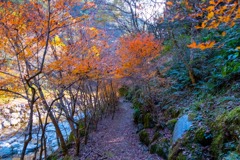 12月の高知（26）