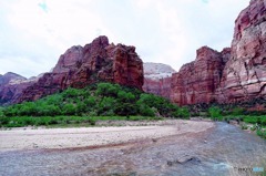 ザイオン国立公園１