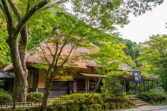 箱根（10）
