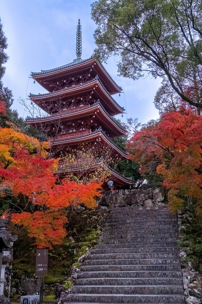 12月の高知（13）
