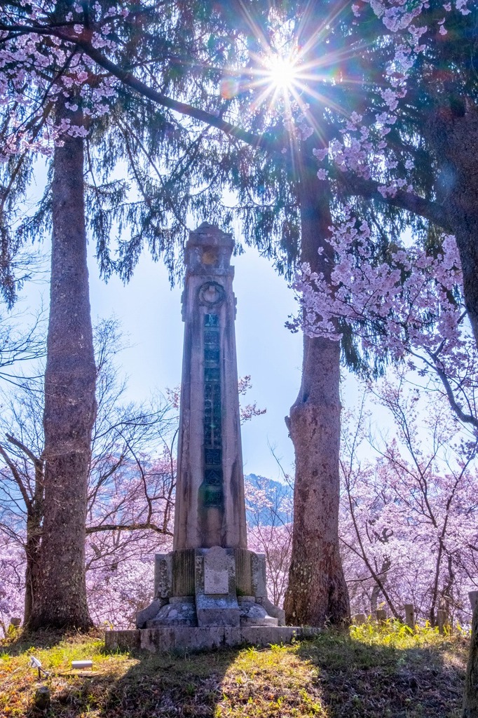 高遠の春（５）