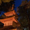 夜の兼六園（３）