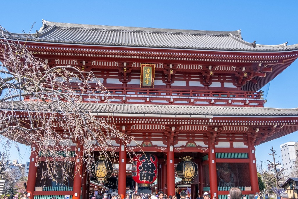 2020年東京の春（27）