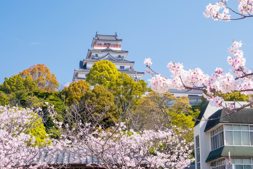 春の唐津城（６）