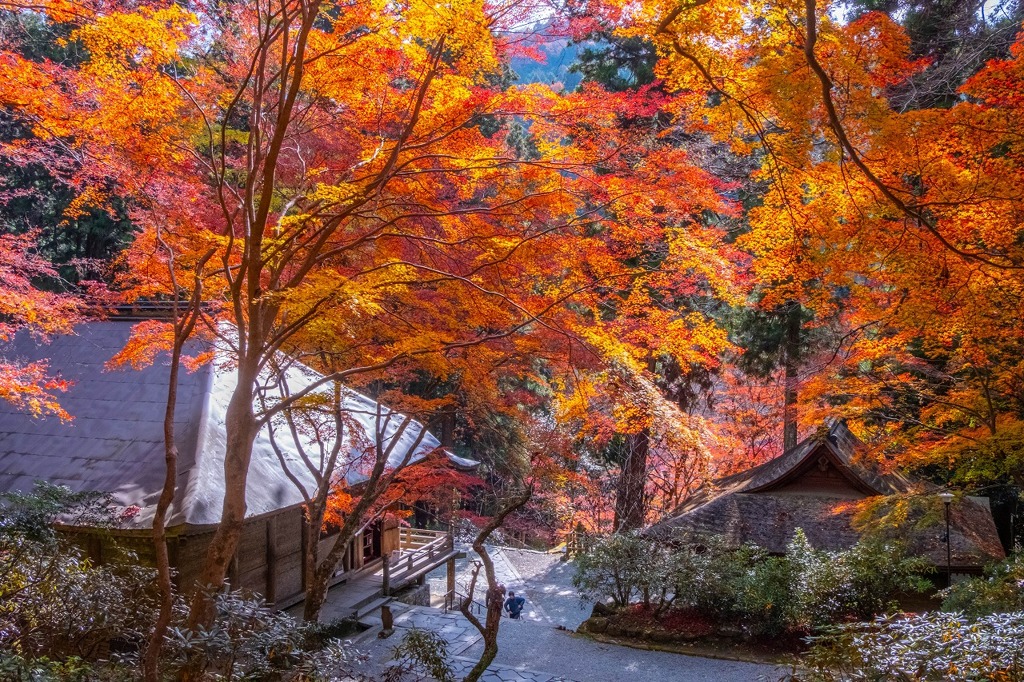 12月の奈良（50）