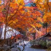 12月の奈良（50）