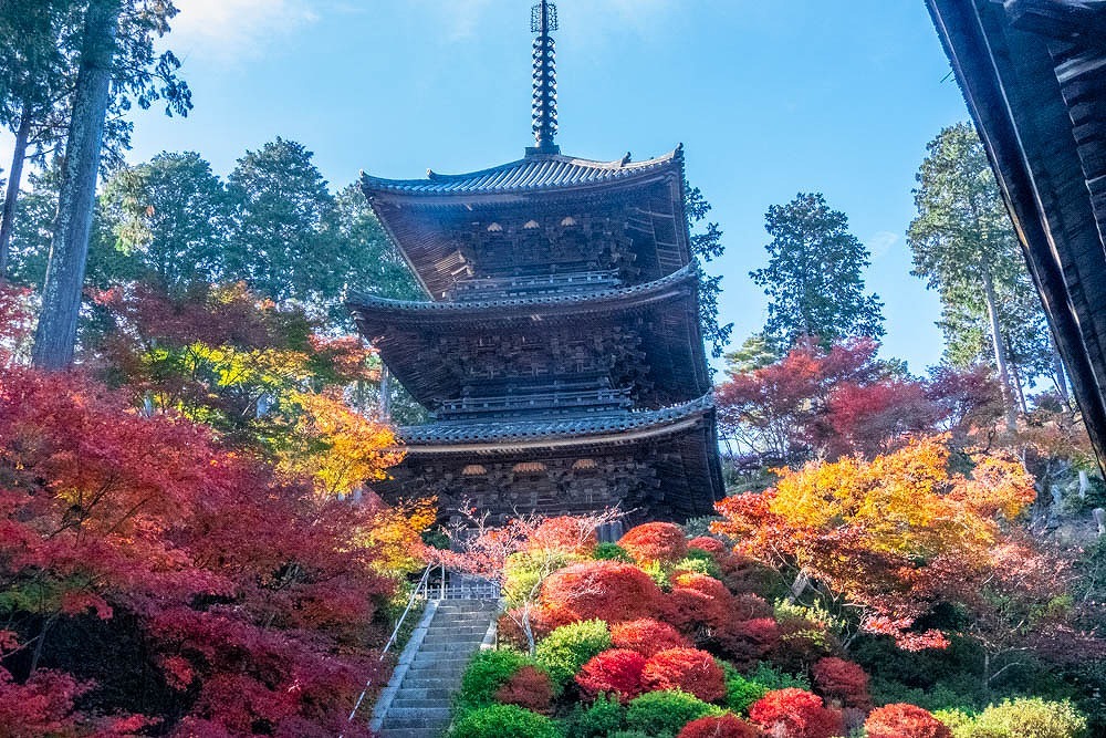 秋の湖南三山（６）