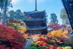秋の湖南三山（６）