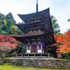 湖東の秋（10）