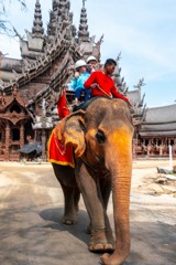 サンクチュアリオブトゥルース（13）