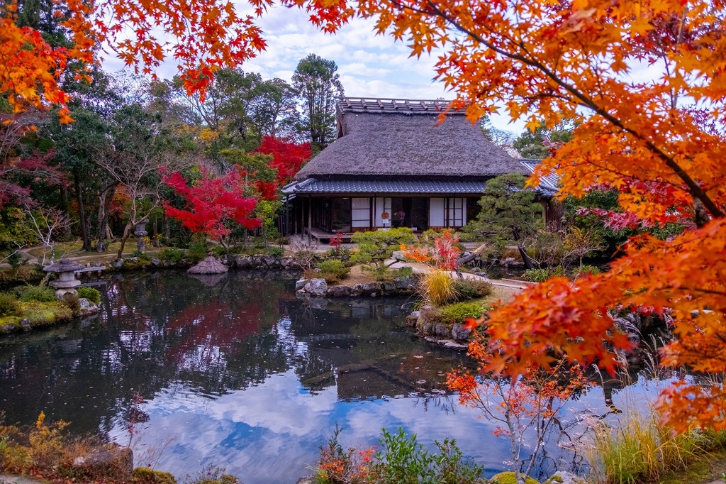 12月の奈良（18）