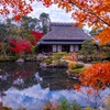 12月の奈良（18）