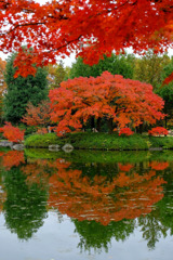 昭和記念公園８