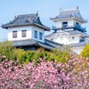 春の掛川城（４）