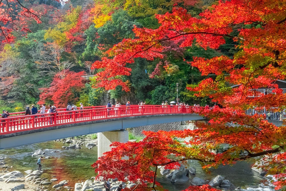 香嵐渓（１）