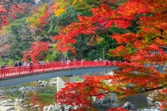香嵐渓（１）