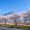 志賀高原の春（３）