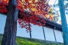 秋の京都（35）