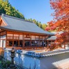 宝徳寺（16）