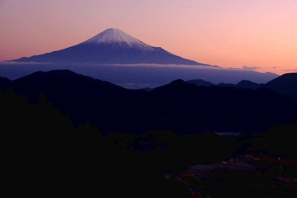 富士山と茶畑３