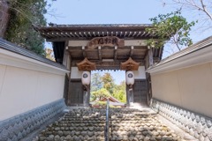 春の油山寺（４）