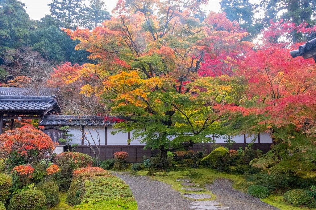 湖東の秋（12）