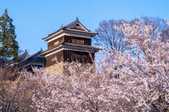 上田の春（11）