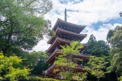 竹林寺（１）